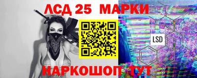 амф Новодвинск