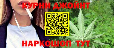 трава Новозыбков