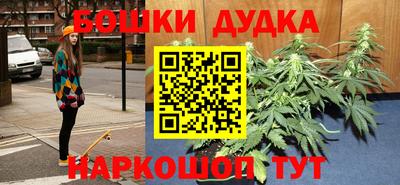 амф Новодвинск