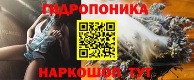 амф Новодвинск