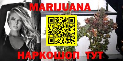 трава Новозыбков