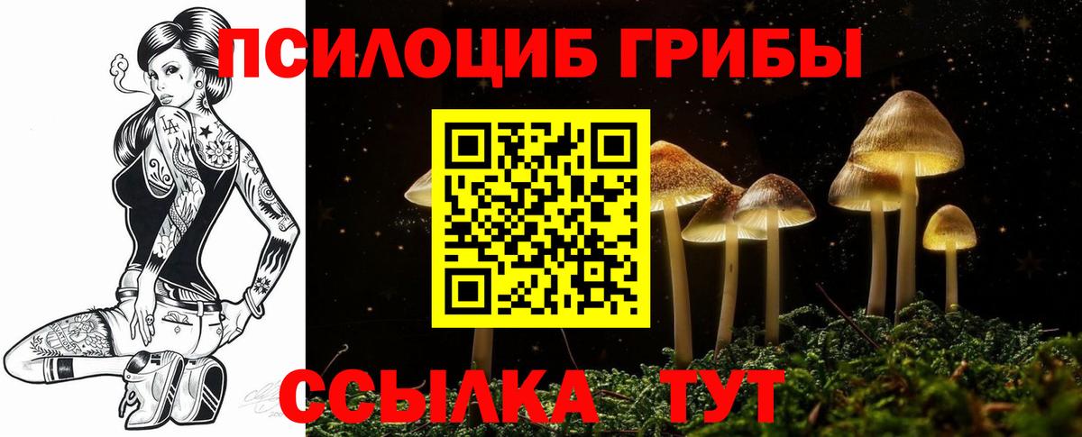 купить   Вход с VPN  Галлюциногенные грибы Magic Shrooms  Тайшет  Псилоцибиновые грибы мицелий 
